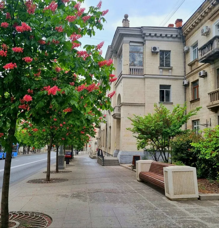 Квартира Квартира Счастье жить в центре Севастополя в самой лавандовой квартире — Севастополь