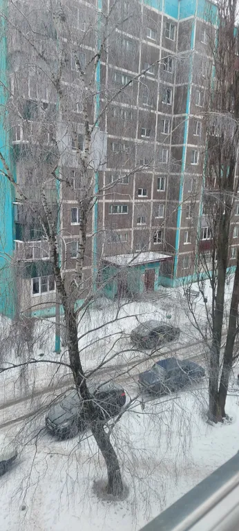 Уютная квартира