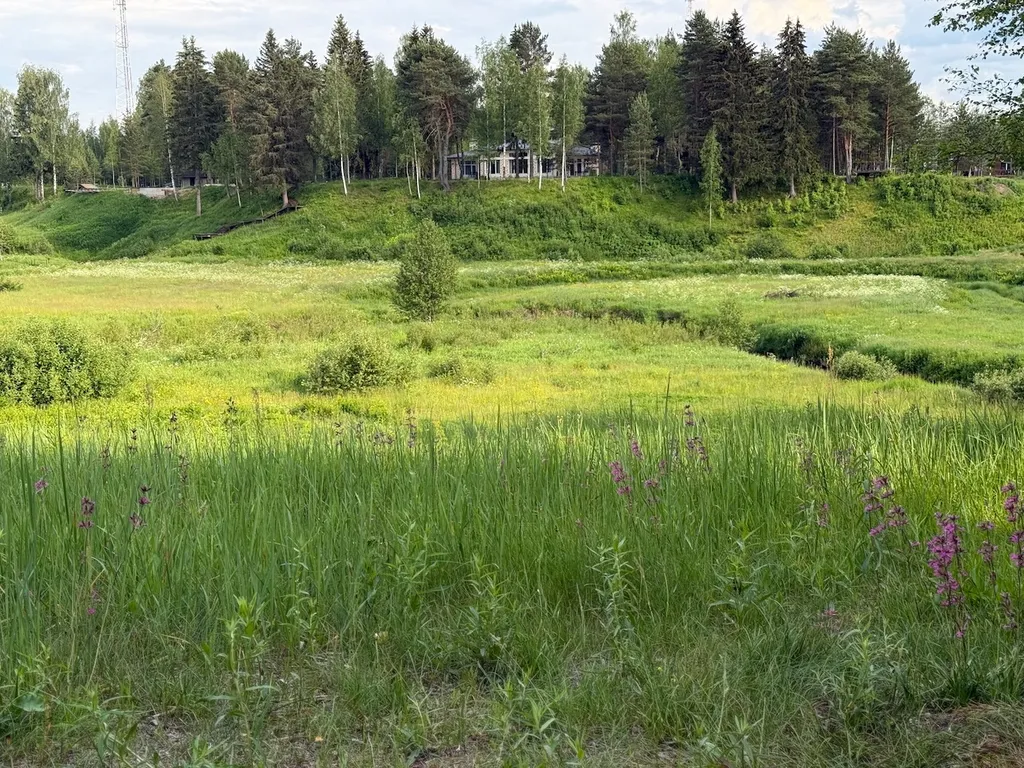 Коттедж Бутик Граве Отель — Боровичи