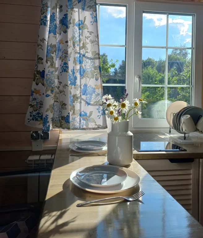 Коттедж Синий домик с банькой — Санкт-Петербург