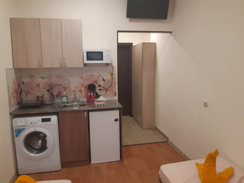 Двухместная студия в Гостевом доме Домашний