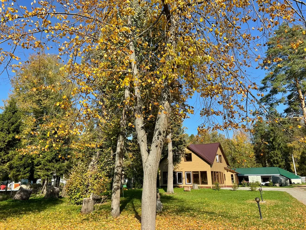 Дом на берегу реки Волга