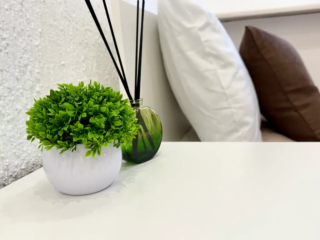 Грин Грэйп Syncotel Home