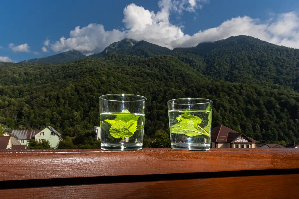 Просторная студия с видом на горы