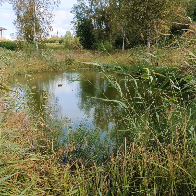 Дом с двумя спальнями с видом на озеро