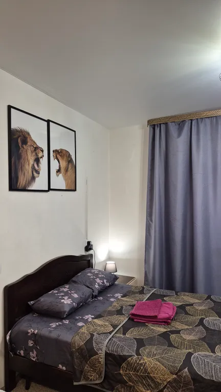 Уютная студия с видом на реку Иртыш