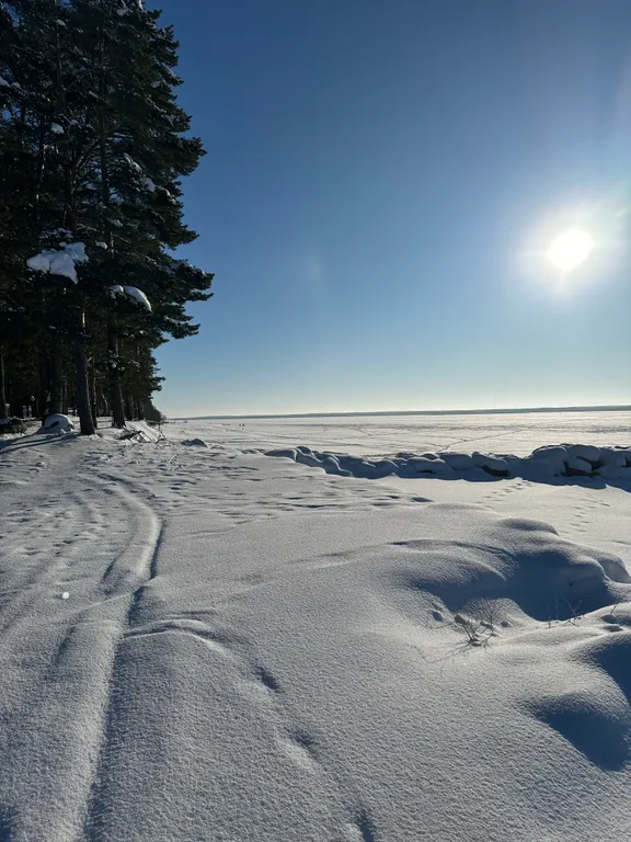 Коттедж в стиле шале в коприно