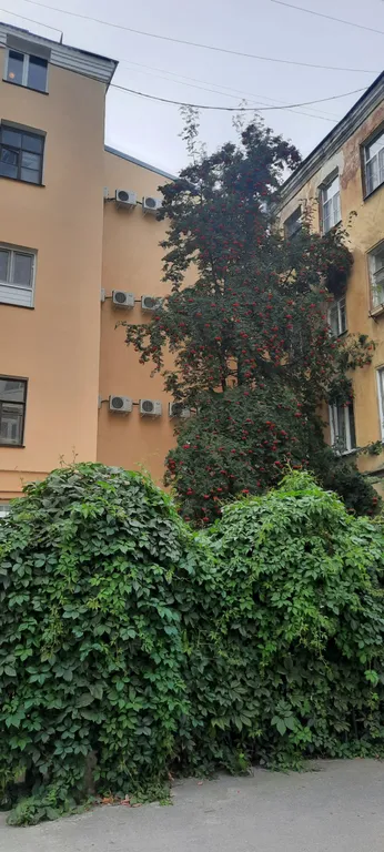 Микро-квартира с гидом по городу, в центре, рядом с метро