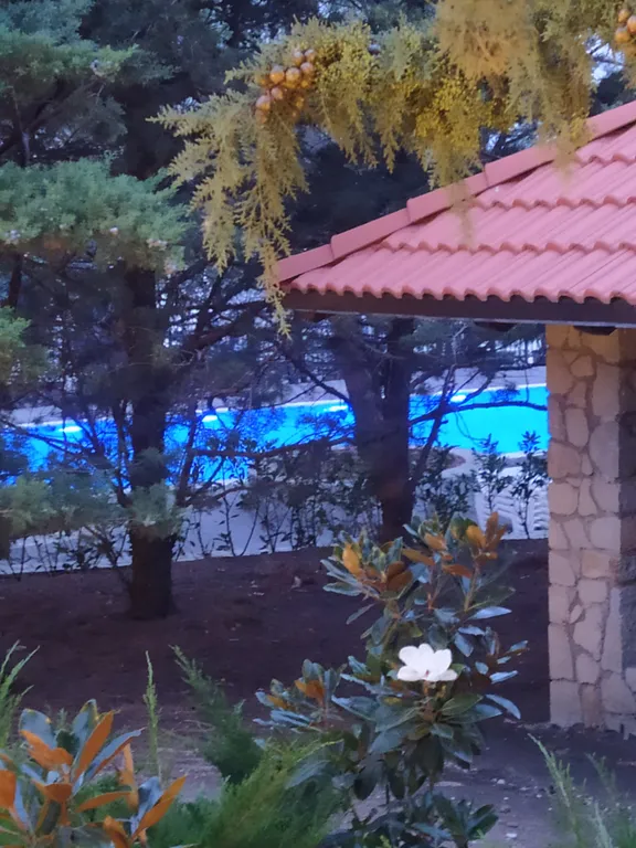 Уютная квартира с видом на море