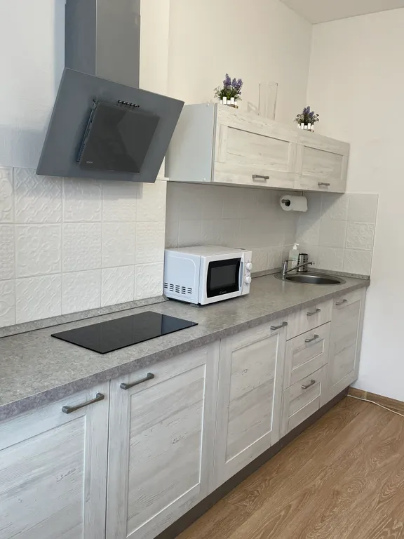 Квартира Просторная, уютная, светлая квартира в центре города — Ярославль