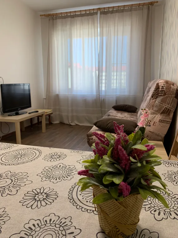 Большая однокомнатная квартира в новом доме