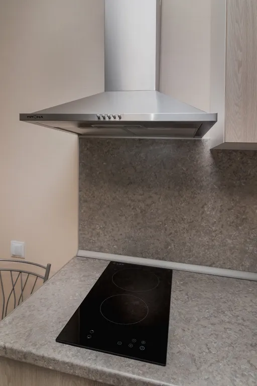 Квартира Уютная квартира рядом с НИИ им. Петрова — Песочный