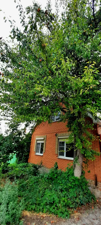 Дом возле моря