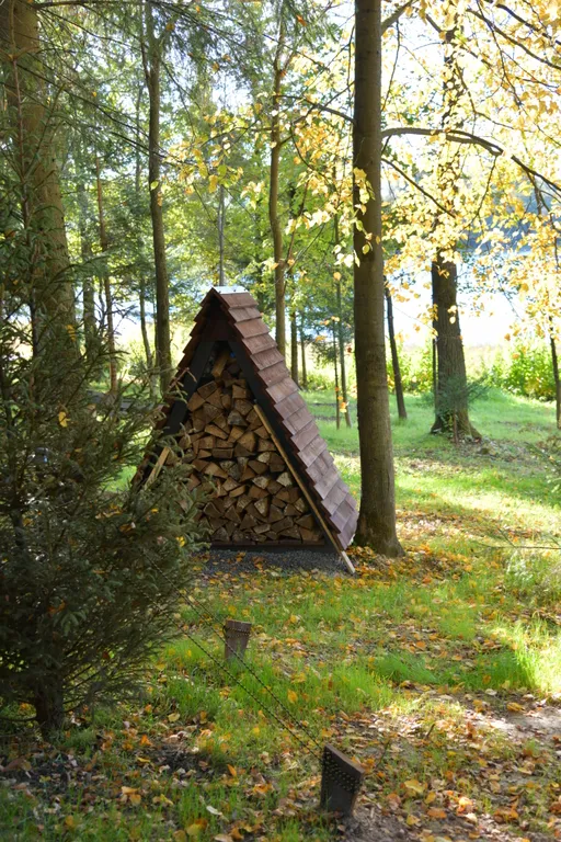 Дом с панорамными окнами в чаще леса у берега реки