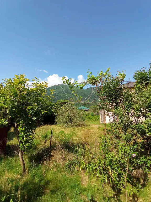 Коттедж в саду у Веры