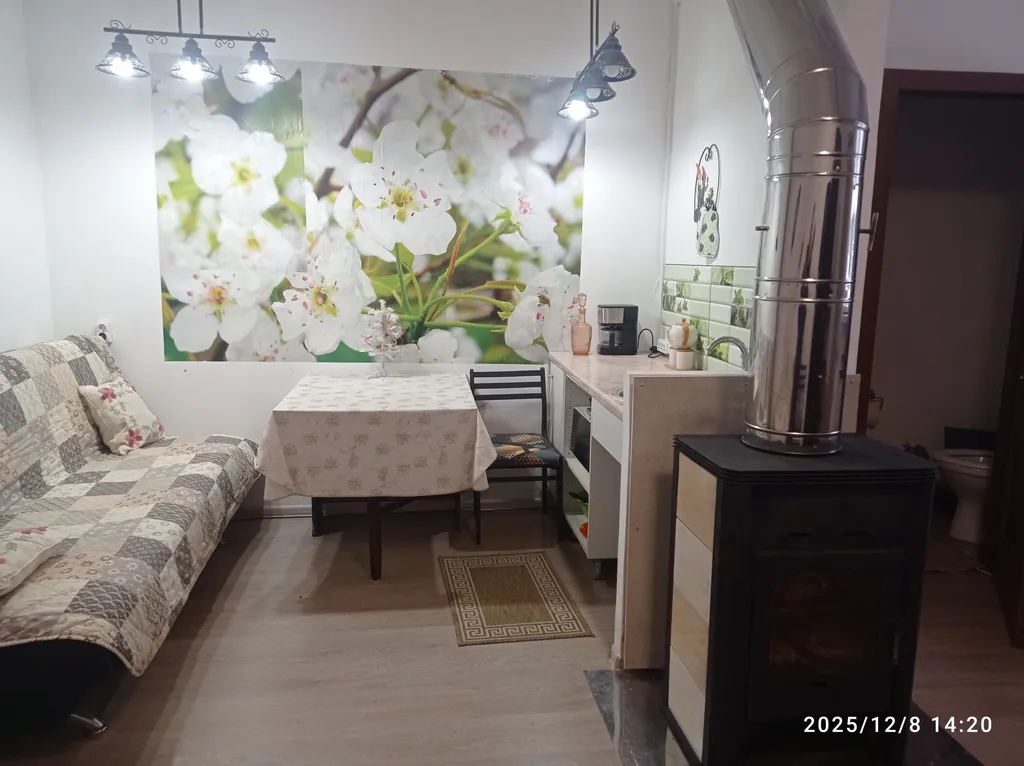 Апартаменты с камином