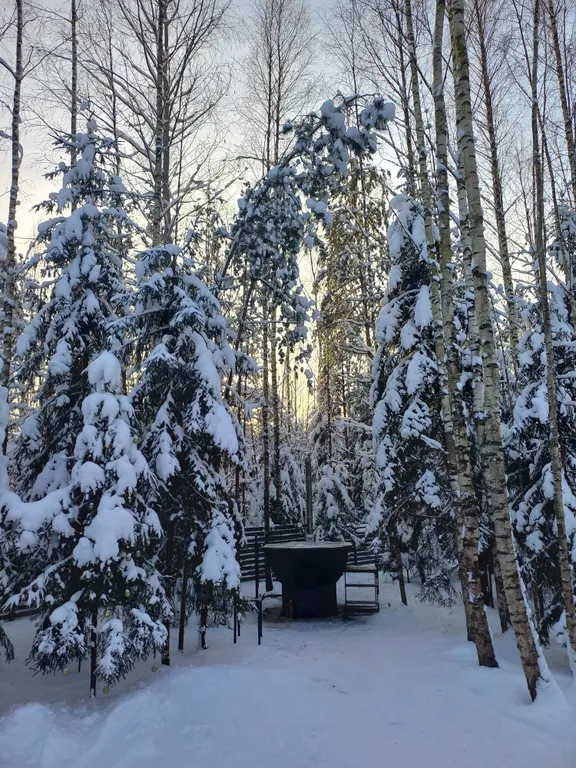 Дом Барин Лес