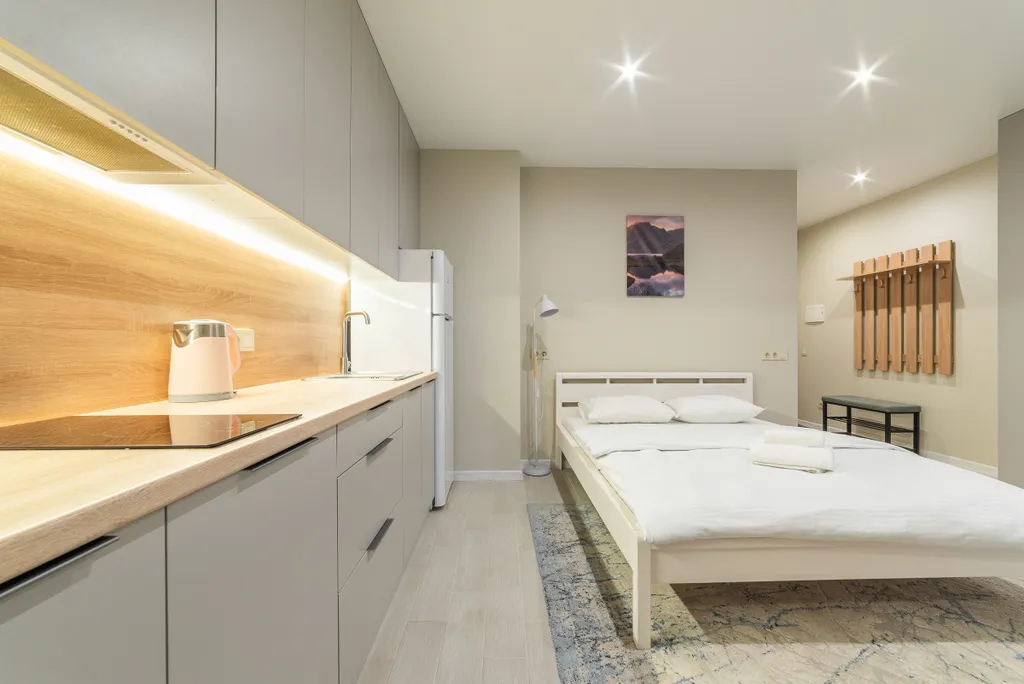 Квартира студия Минск Мир с балконом