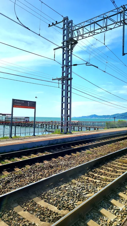 Апартаменты мандарин парк в 100 метрах от моря