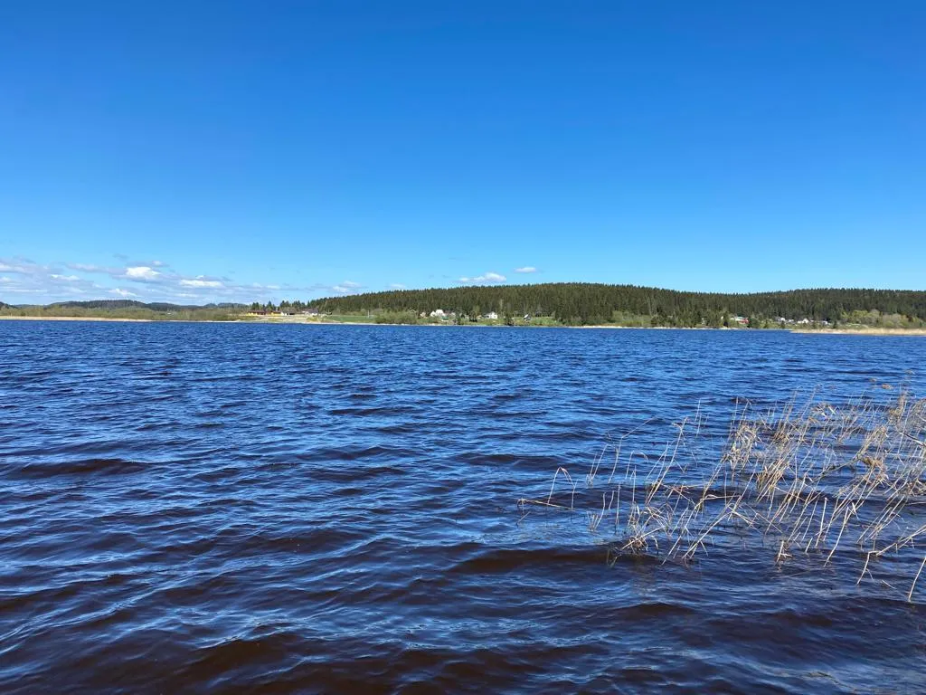 Деревенский дом у озера