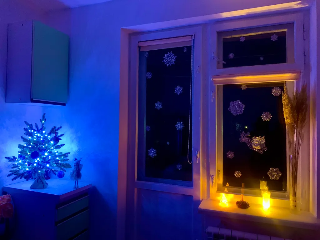 Квартира сосны