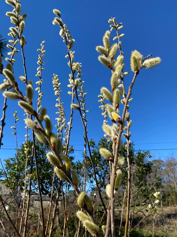 Тихий спокойный отдых у моря с шикарным видом, огромный зеленной двор