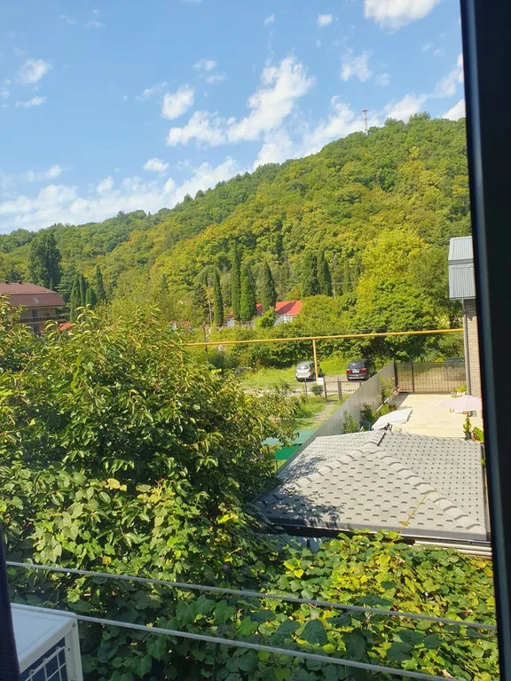 Лавандовый сон