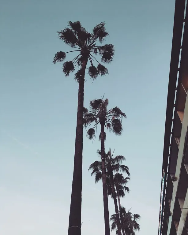 Квартир в старом Батуми, в районе Драматического театра, с большим балконом