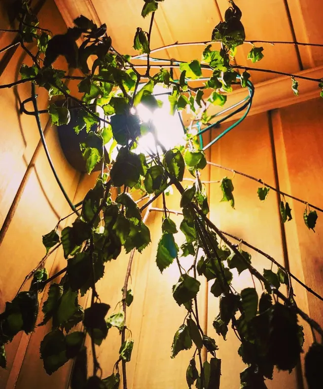 Дом с баней в черте города Домодедово