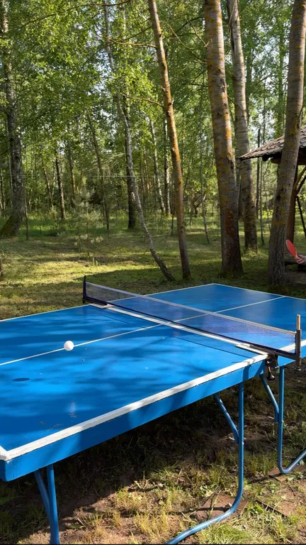 Деревянный дом в лесу рядом с рекой