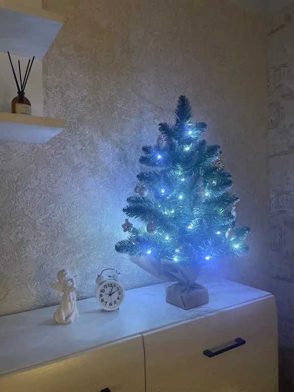 2-комнатная квартира в центре города