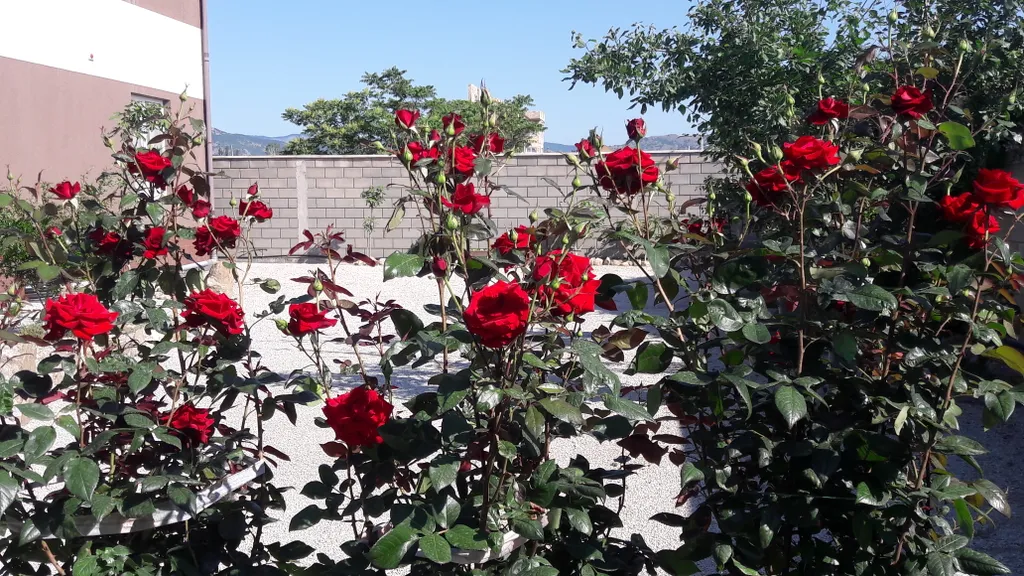 4-комнатный Дом