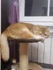 Ольга