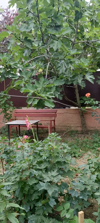 Квартира Комната — Адлер