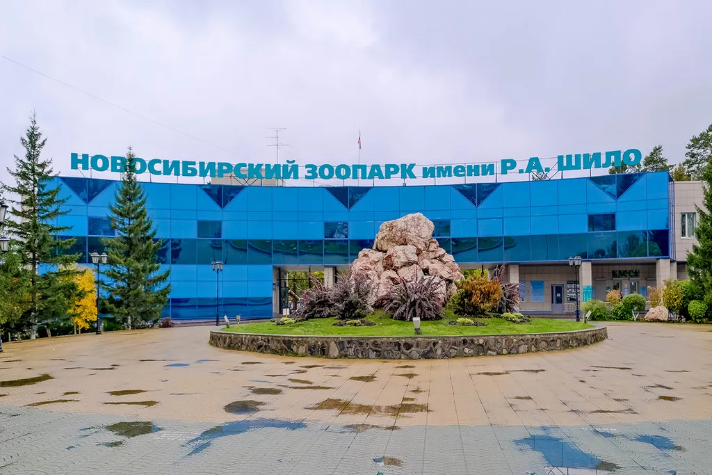 Квартира Однокомнатная квартира возле Жд вокзала — Новосибирск