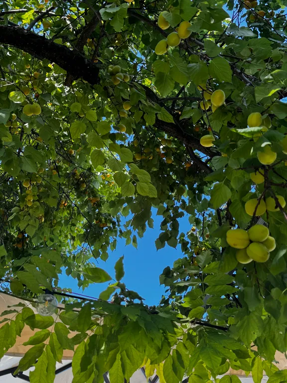 Квартира Квартира Номер с раздельными кроватями до 2 человек с удобствами — Анапа