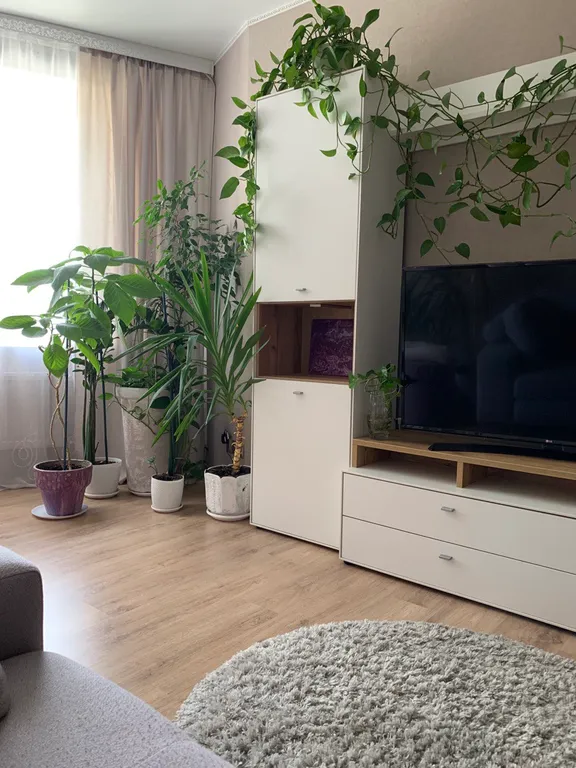 Лаванда Апарт возле Ашман Парка и Ботанического сада.