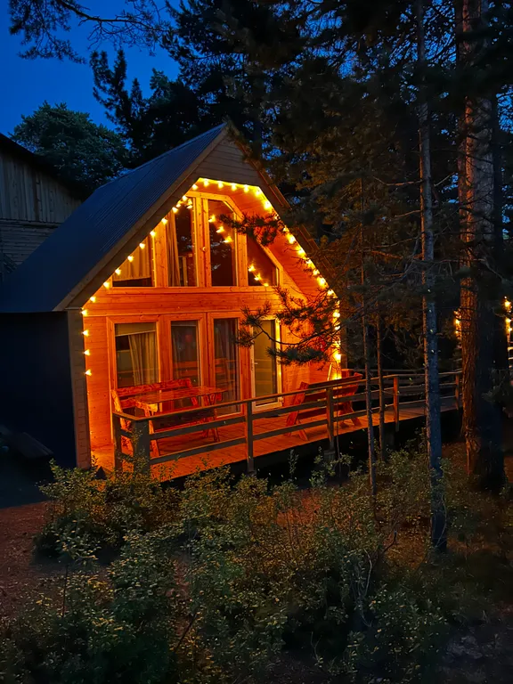 Первая линия