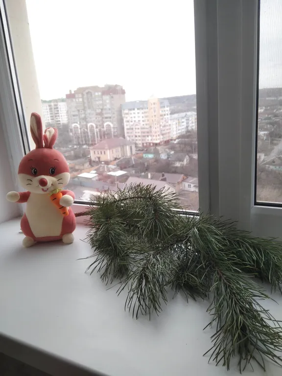 Квартира с видом на реку и панорамным видом на город