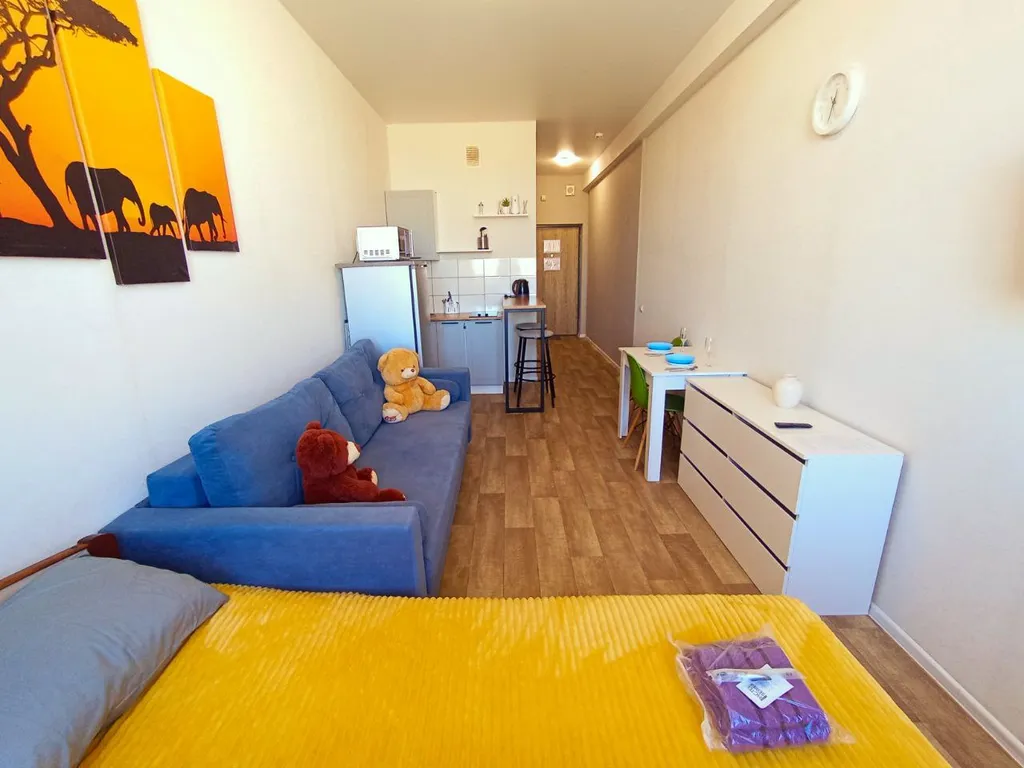 Уютная квартира-студия с wi-fi