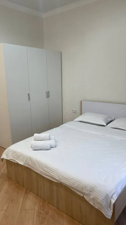 Квартира Комфортные апартаменты в центре Астаны — аренда посуточно в Астана (Нур-Султан)