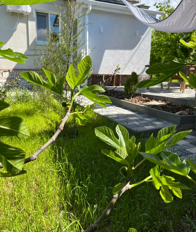 Коттедж Гостевой дом в Байдарской долине. Севастополь. Выгодно.	КizilНоusе — Кизиловое