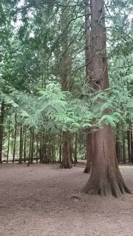 Атмосферные апартаменты у Балтийского моря