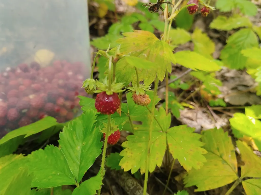 Уютный дом с беседкой на берегу озера