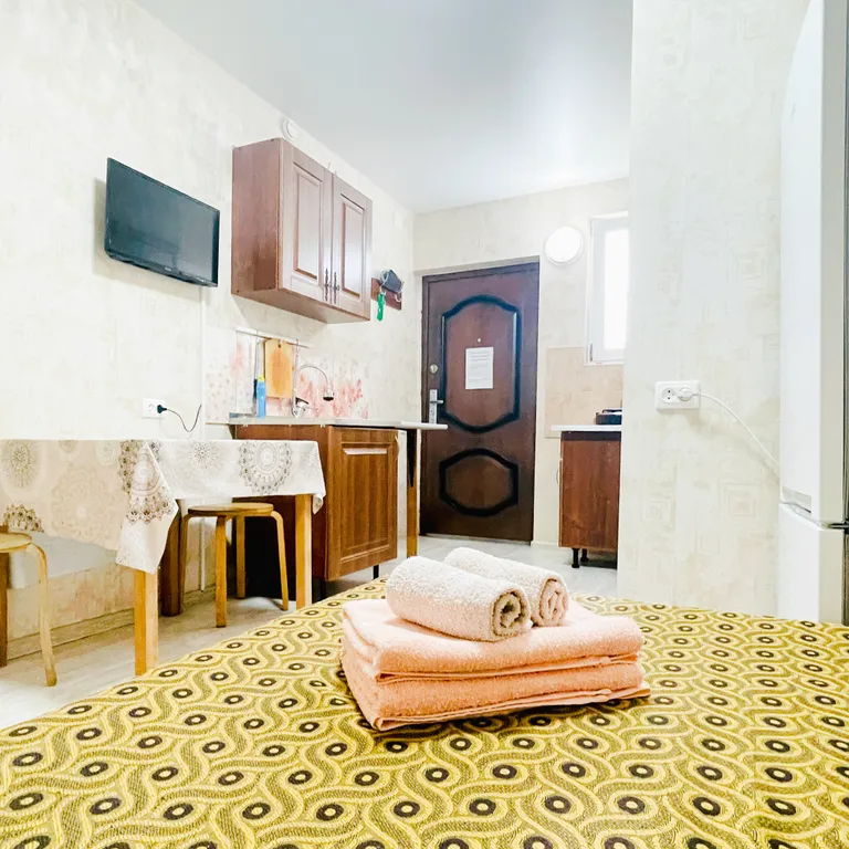 Квартира - студия