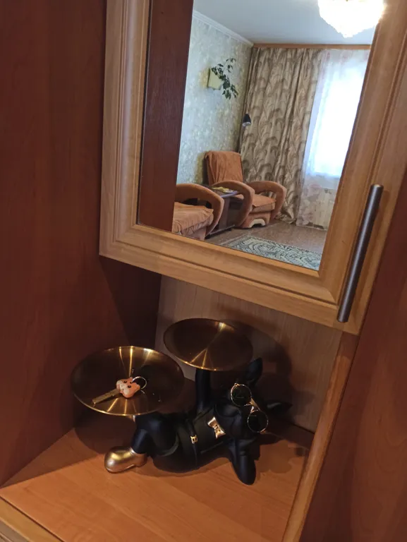 Уютная трёхкомнатная квартира в близости к истории и современности