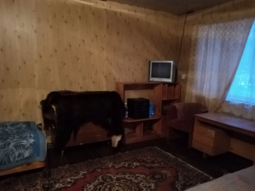 Домик рядом с озером для отдыха