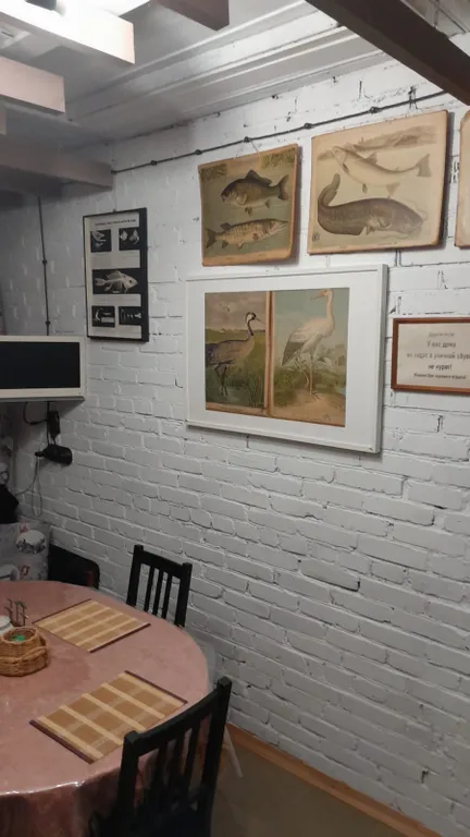 Коттедж Загородный дом на Ладоге — Новая Ладога