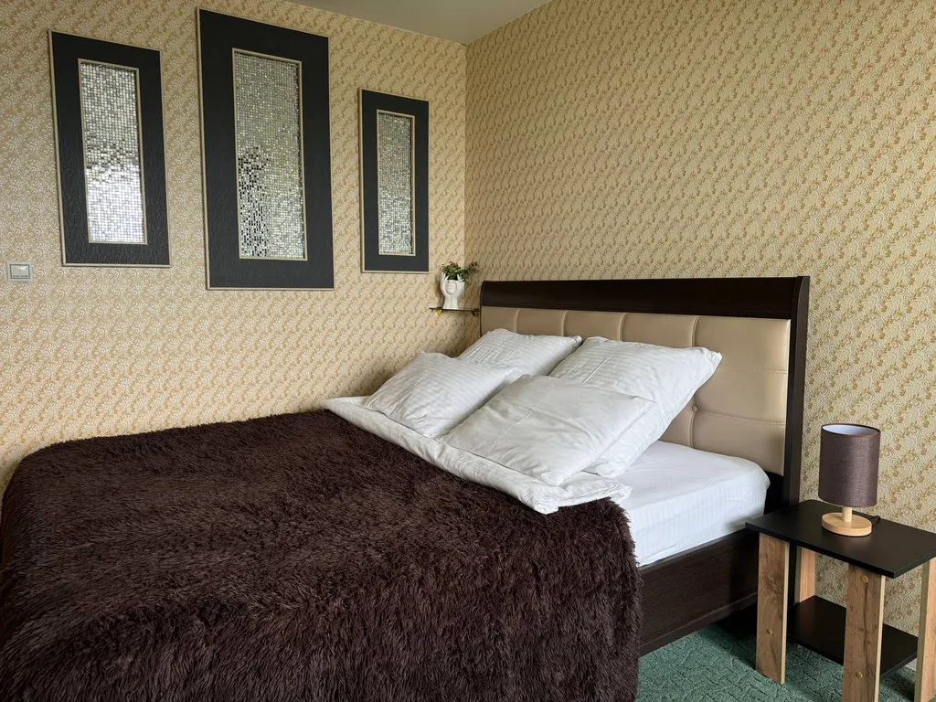 Просторная двухкомнатная квартира — аренда посуточно в Петропавловск-Камчатский