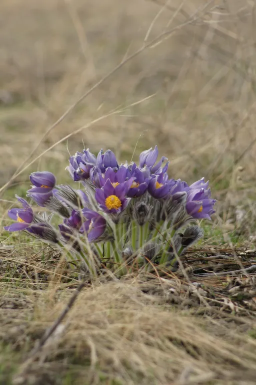 Солнечная квартира в центре